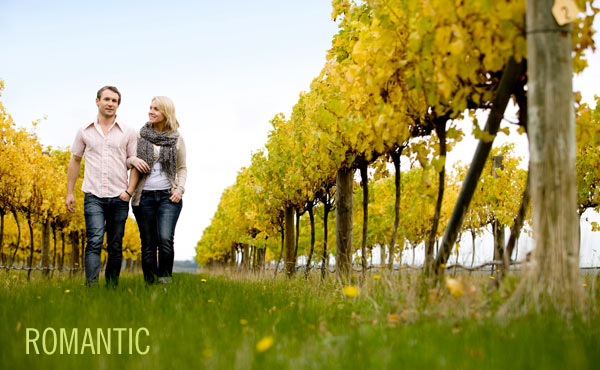 Geelong winery