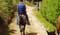 Bellarine Horse Trail Study