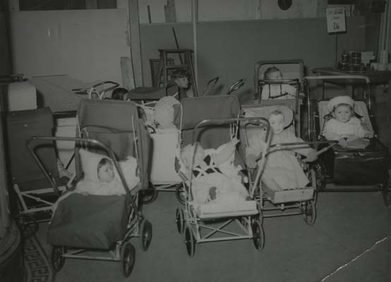 Babies waiting for their mothers during a sale at Brights, c.1950