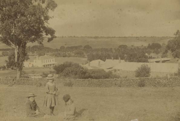 Shelford, 1892