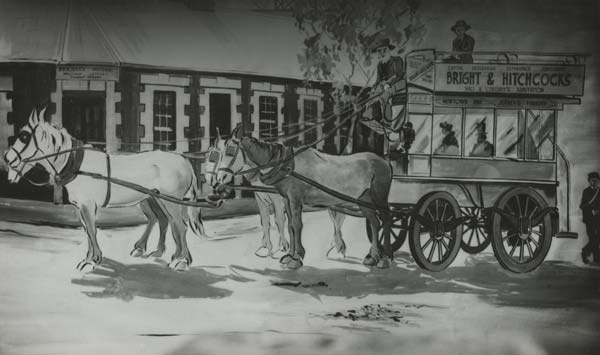 Coach outside Jeffrey's Fernery, Newtown, c.1900