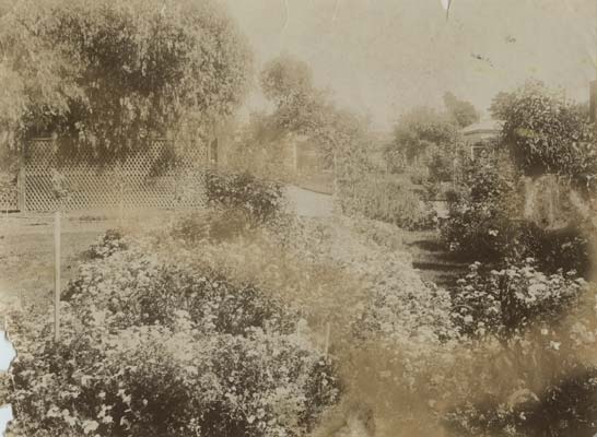 Como, 11 Skene Street, Newtown, c.1910