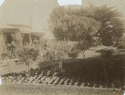 Como, 11 Skene Street, Newtown, c.1910