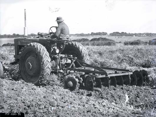 MP-AM-71 Farmall AM Tractor, International Harvester, 1952