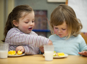 Survey - Early Years Plan 2013-2017 