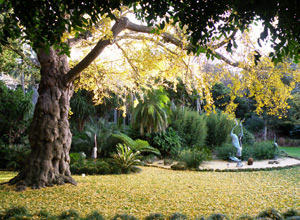 Water and the Geelong Botanic Gardens