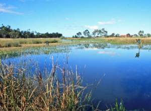 Have Your Say - Jerringot Masterplan