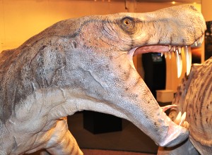 Permian Monsters Until 10 June